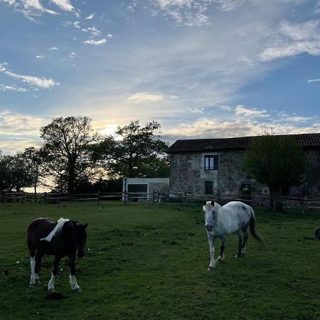 Gite A La Campagne Au Bord D'Un Lac 8 Personnes Saint-Quentin-sur-Charente Zewnętrze zdjęcie