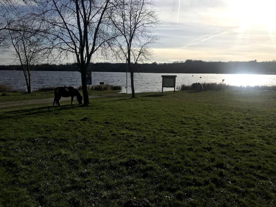 Gite A La Campagne Au Bord D'Un Lac 8 Personnes Saint-Quentin-sur-Charente Zewnętrze zdjęcie